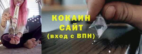 дмт Дмитриев
