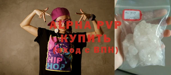 дмт Дмитриев