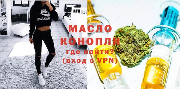 дмт Дмитриев