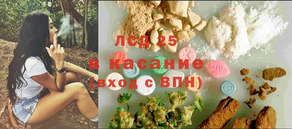 стафф Дмитровск