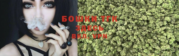 дмт Дмитриев
